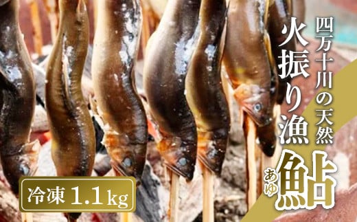 四万十川上流の天然鮎 新もの冷凍 火振り漁鮎 1.1kg ( 冷凍 4〜14尾 ) 鮎 あゆ アユ 川魚 高知県 四万十 天然 冷凍高知県中土佐町41000魚介・海産物鮮魚