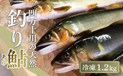 l\㗬̓VR ނ舼 1.2kg ( Ⓚ 5`18 )   A 싛 m l\ VR Ⓚmy54000ECYN