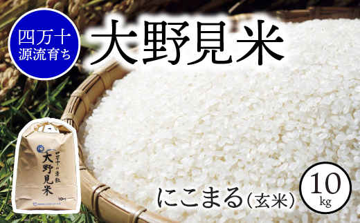 y l\炿 zʍ͔| 쌩 ɂ܂ 10kg (  )    ɂ܂ l\my40000āEp