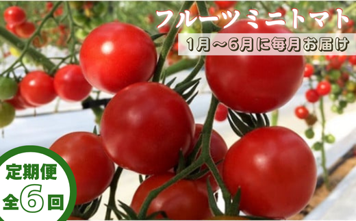 【定期便全6回 1月〜6月毎月お届け】四万十川源流域で育まれた 絶品 フルーツミニトマト 1kg高知県中土佐町48000野菜・きのこトマト