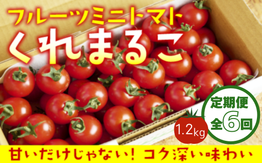 【定期便全6回 1月〜6月毎月お届け】 フルーツミニトマト 『 くれまるこ 』 1.2kg 2026年分高知県中土佐町48000野菜・きのこトマト