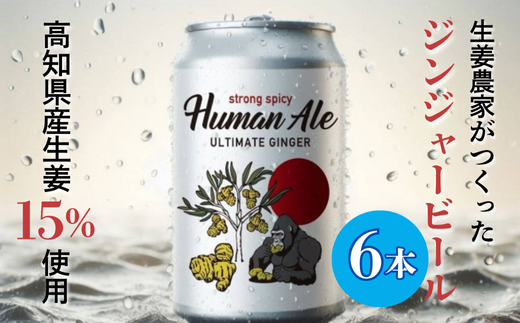 ジンジャービール 6本セット高知県中土佐町45000酒・アルコールビール・発泡酒