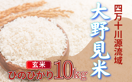 大野見米 ヒノヒカリ 10kg ( 玄米 ) ご飯 米 お米 四万十 高知産高知県中土佐町40000米・パン白米
