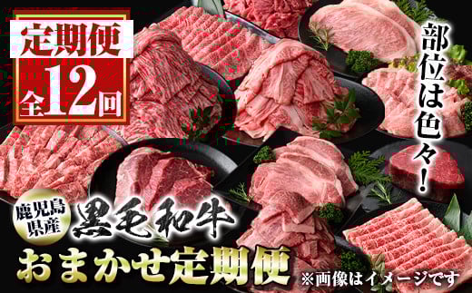 G01001 <定期便・全12回>鹿児島県産黒毛和牛おまかせ定期便 鹿児島 牛肉 黒毛和牛 シャトーブリアン サーロインステーキ リブロース カルビ 焼肉 すき焼き 定期便 【新村畜産】鹿児島県肝