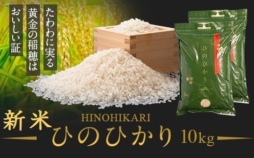 2023年度 鹿児島県産 新米 ひのひかり(10kg) チャック・持ち手付き 新米 鹿児島 国産 九州産 白米 お米 こめ コメ ごはん ご飯 農家直送 ひのひかり ヒノヒカリ チャック付き【瑞ひか