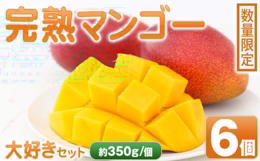 D15001 <先行予約受付中!>肝付町産完熟マンゴー大好きセット(約350g×6個)鹿児島 完熟 マンゴー フルーツ 国産 お取り寄せ ギフト 贈答【SHOWAマンゴー農園】鹿児島県肝付町50000果物・フルー