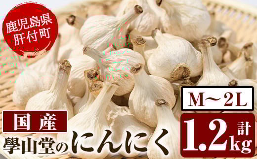 A69001 {R̂ɂɂ(v1.2kg)  Y ɂɂ jjN f  K[bN 򖡁yjjN̛{Rz̕t10000؁Ê̑ 