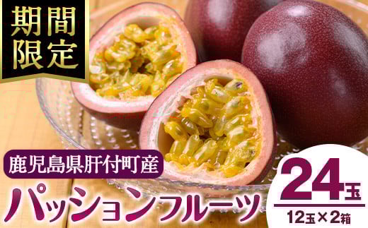 RTMT様☆L玉6.0kg+規格外500g パッションフルーツ 2025年発送先行受付】絶品パッションフルーツL玉(18玉)“屋久島の