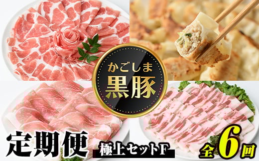 J02002 <定期便・全6回(隔月)>極上セットF!鹿児島 定期便 黒豚 豚肉 ぶた 肉 肩ロース 豚バラ ももスライス 豚バラカルビ しゃぶしゃぶ とんかつ 餃子 ぎょうざ ギョーザ 豚味噌 豚みそ し