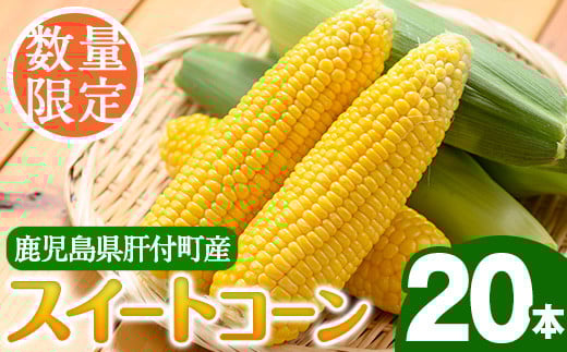 A68001 <先行予約受付中!6月上旬より準備が整い次第順次発送>肝付町産 産地直送!朝採れ スイートコーン(20本入り) 肝付町 特産品 鹿児島 国産 とうもろこし コーン スイートコーン 新鮮