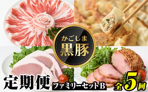 D02004 <定期便・全5回>かごしま黒豚ふるさと定期便 ファミリーセットB(月1回×5ヶ月) 鹿児島 国産 肉 豚肉 黒豚 焼豚 肩ロース ロース モモ 餃子 ぎょうざ しゃぶしゃぶ とんかつ セット 定