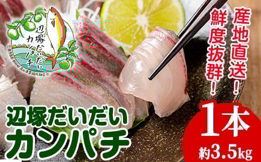 B08002 YnIӒ˂Jp`(3.5kgE1{)  Y BY Yn Jp`    N  CYyRƋgz̕t25000ECYN