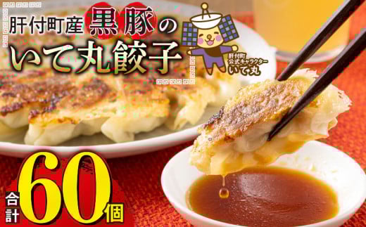 P43002 鹿児島県 肝付町産 黒豚 餃子 ギョーザ(計60個・12個入 5パック)  ぎょうざ たれ付き パリパリ もちもち ジューシー おかず 弁当 冷凍 冷凍食品 中華 豚肉 国産【財宝】鹿児島県肝付町5000
