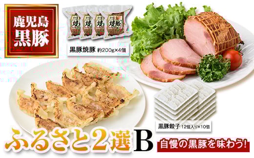 B02104 ふるさと2選B 焼豚(約200g×4個・計800g)と餃子(12個入×10パック・計120個)のセット 鹿児島 国産 九州産 黒豚 豚肉 お肉 焼豚 餃子 冷凍 おかず ギフト 贈答 特別な日に【和田養豚】鹿児島県
