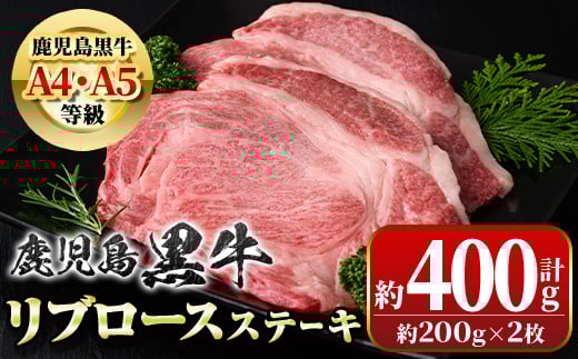 A01029  u[XXe[L(v400gE200g×2)X̂  Y BY   A4 A5   Xe[L Mtg yV{Yz̕t18000