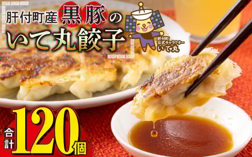 P43003 鹿児島県 肝付町産 黒豚 餃子 ギョーザ(計120個・12個入 10パック) ぎょうざ たれ付き パリパリ もちもち ジューシー おかず 弁当 冷凍 冷凍食品 中華 豚肉 国産【財宝】鹿児島県肝付町900