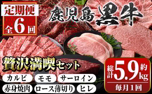 G01003 <定期便・全6回>鹿児島黒牛 満足定期便・贅沢満喫セット(全6種・合計5.9kg) 鹿児島黒牛 モモ サーロイン ロース 薄切り カルビ 赤身 ヒレ ステーキ 焼肉 食べ比べ 日本一 鹿児島 国産