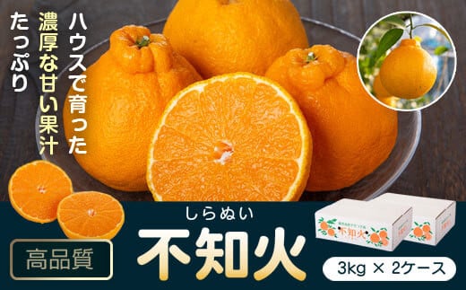 A18008 <先行予約受付中!2026年2月より収穫ができ次第順次発送予定>肝付町産不知火(しらぬい)(計6kg・3kg×2ケース)国産 フルーツ 果物 柑橘 みかん デコポン しらぬい 不和火【JA鹿児島きも