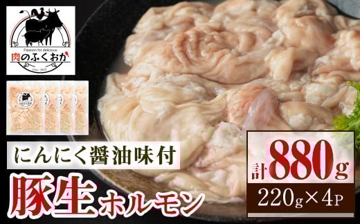 P79005 ؐzɂɂݖt(v880gE220g×4)  Y  z   t   Ⓚŷӂz̕t5000ؓ