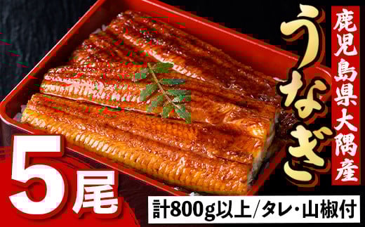 C57003 うなぎ蒲焼・大(有頭)(5尾・計800g以上、タレ、山椒付)鹿児島 国産 鰻 うなぎ ウナギ 蒲焼き うな丼 うな重 ひつまぶし 土用の丑の日 真空パック お土産 贈答 ギフト プレゼント【一般社