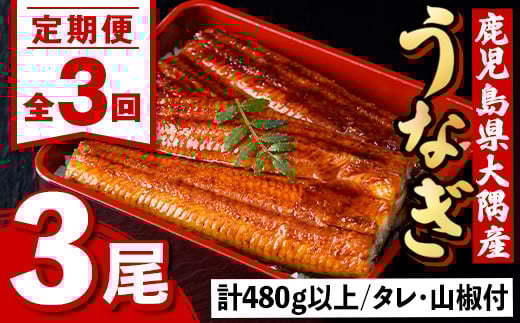 E57004 <定期便・計3回(連続)>うなぎ蒲焼・大(有頭)(3尾・計480g以上×3回、タレ、山椒付)鹿児島 国産 鰻 うなぎ ウナギ 蒲焼き うな丼 うな重 ひつまぶし 土用の丑の日 真空パック お土産 贈