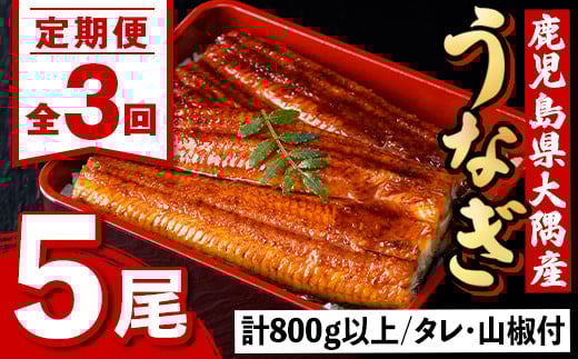 E57005 <定期便・計3回(連続)>うなぎ蒲焼・大(有頭)(5尾・計800g以上×3回、タレ、山椒付)鹿児島 国産 鰻 うなぎ ウナギ 蒲焼き うな丼 うな重 ひつまぶし 土用の丑の日 真空パック お土産 贈