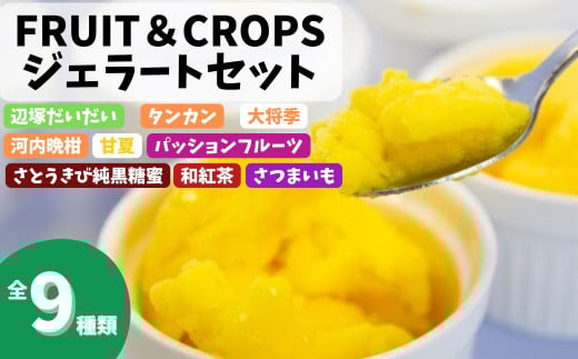 A83004 南のくだもの王国 南のFRUIT&CROPS ジェラート セット (9種 9個入り) ジェラート アイスクリーム アイス スイーツ フルーツ おやつ デザート お菓子 冷凍 冷凍食品 ギフト 甘夏 タンカン