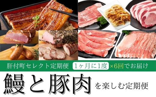 F90003 ցES6񁄊̕tZNgցsVƓؓyޒցt   ؓ Y  V Ƃ񂩂 Ԃ n EBi[  ZNg  Ⓚ ⓀHi y