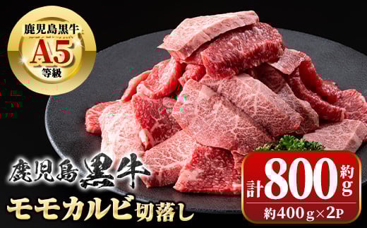 B01037 <期間限定>鹿児島黒牛 モモ カルビ 切落し 焼肉用(計800g・約400g×2P)  牛肉専門店自慢のお肉 鹿児島 国産 九州産 牛肉 カルビ モモ 切り落とし 切落とし A5 等級 焼肉 焼き肉 バーベキュ