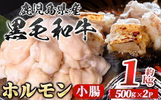 A01039 鹿児島県産黒毛和牛 ホルモン 小腸 (計約1kg・約500g×2P) 鹿児島 国産 九州産 黒毛和牛 牛肉 ホルモン 牛ホルモン 生ホルモン モツ 小腸  真空パック 個包装 小分け 冷凍 焼肉 もつ鍋 煮込