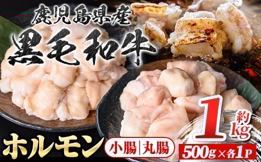 A01038 鹿児島県産黒毛和牛 ホルモン 小腸 丸腸 セット (計約1kg・約500g×各1P) 鹿児島 国産 九州産 黒毛和牛 牛肉 ホルモン 牛ホルモン 生ホルモン モツ マルチョウ ホルモンセット 食べ比べ 真