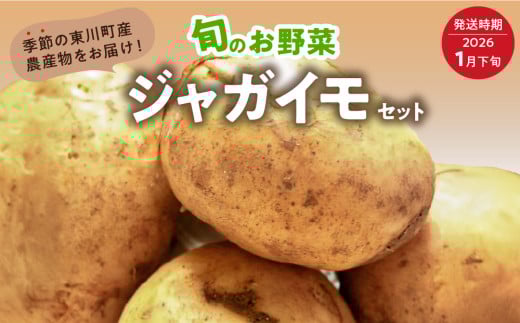 【1月下旬発送】旬のお野菜「越冬ジャガイモセット」北海道東川町11000野菜・きのこじゃがいも・イモ類