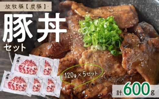 放牧豚”炭豚”の豚丼セット(120g×5)北海道東川町13000肉豚肉