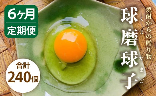 【定期便 年6回】球磨球子 40個入×6回 鶏卵 卵 玉子 たまご くまたまご(破損保証有り)熊本県人吉市49000卵・乳製品卵(鶏、烏骨鶏等)