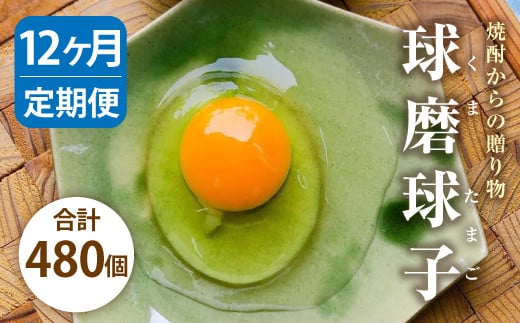 【定期便 年12回】球磨球子 40個入×12回 鶏卵 卵 玉子 たまご くまたまご(破損保証有り)熊本県人吉市97000卵・乳製品卵(鶏、烏骨鶏等)