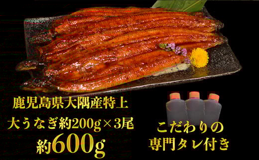 特上うなぎ 600g(200g×3尾) タレ付き うなぎ 鰻熊本県人吉市28000魚介・海産物うなぎ