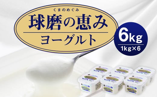 球磨の恵 ヨーグルト (加糖) 1kg 6パック 合計6kg熊本県人吉市17000卵・乳製品ヨーグルト