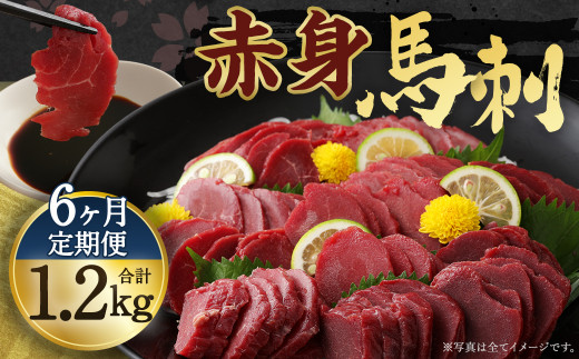 【定期便年6回】赤身 馬刺し ブロック 約200g ×6回 合計約1.2kg (約100g×12パック) 馬肉熊本県人吉市60000肉ジビエ