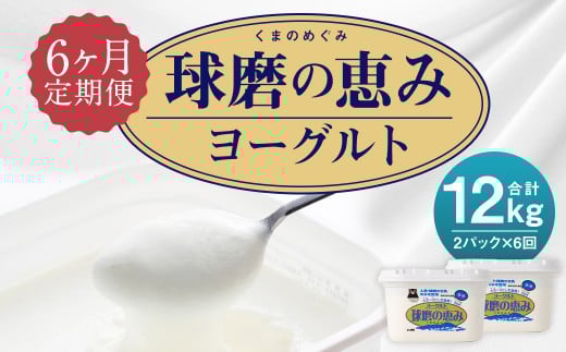 【6ヶ月定期便】球磨の恵みヨーグルト 加糖 1kg×2パック×6回  合計12kg熊本県人吉市34000卵・乳製品ヨーグルト
