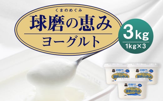 球磨の恵み ヨーグルト 加糖 1kg×3パック 合計3kg熊本県人吉市11000卵・乳製品ヨーグルト