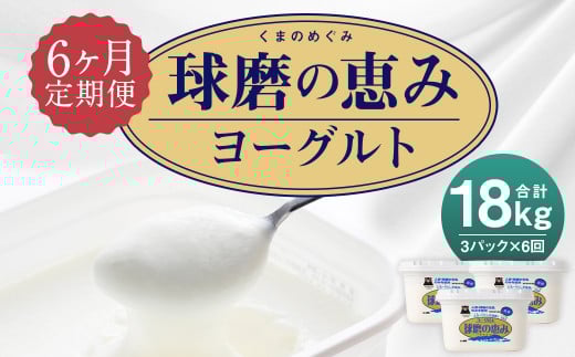 【6ヶ月定期便】球磨の恵み ヨーグルト 加糖 1kg×3パック×6 合計18kg熊本県人吉市51000卵・乳製品ヨーグルト