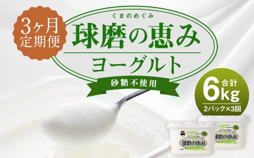 【3ヶ月定期便】球磨の恵 ヨーグルト 砂糖不使用 1kg×2パック×3回 合計6kg熊本県人吉市17000卵・乳製品ヨーグルト