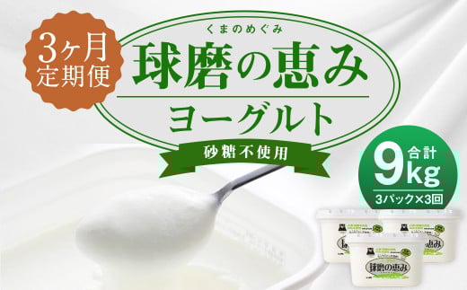 【3ヶ月定期便】球磨の恵み ヨーグルト 砂糖不使用 1kg×3パック×3回 合計9kg熊本県人吉市26000卵・乳製品ヨーグルト
