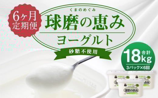 【6ヶ月定期便】球磨の恵み ヨーグルト 砂糖不使用 1kg×3パック×6回 合計18kg熊本県人吉市51000卵・乳製品ヨーグルト