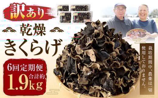 【6ヶ月定期便】【訳あり】乾燥 きくらげ 320g熊本県人吉市60000野菜・きのこきのこ