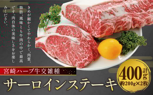 宮崎 ハーブ牛 交雑種 サーロイン ステーキ 約400g (約200g×2枚)熊本県人吉市15000肉牛肉