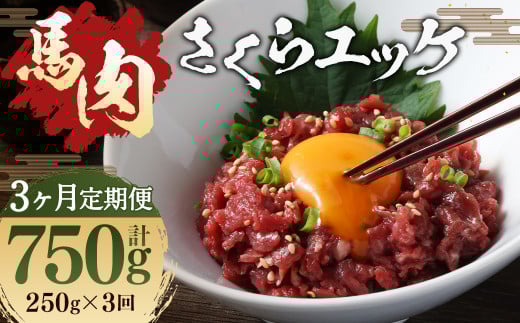 【 3ヶ月 定期便 】 馬肉 さくらユッケ250g ( 50g × 5パック) 合計 750g 肉 お肉 馬 桜 桜ユッケ さくら ユッケ 生 生ユッケ 冷凍熊本県人吉市35000肉ジビエ