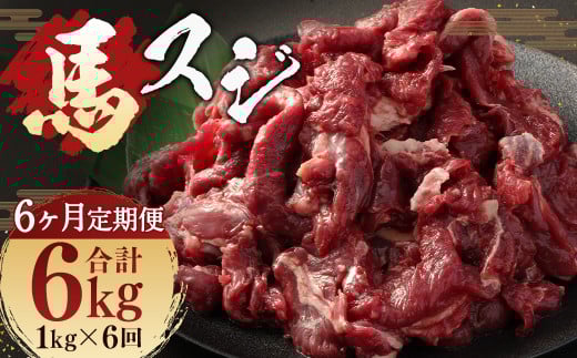 【 6ヶ月 定期便 】 馬スジ 1kg ( 500g × 2パック ) 合計 6kg 冷凍 肉 お肉 馬肉 馬 スジ肉 スジ 煮込み 煮物 熊本熊本県人吉市70000肉ジビエ