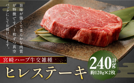 宮崎 ハーブ牛 交雑種 ヒレステーキ 約240g ( 約120g ? 2枚 ) 肉 お肉 牛 牛肉 ヒレ ステーキ 冷凍 国産熊本県人吉市12000肉牛肉