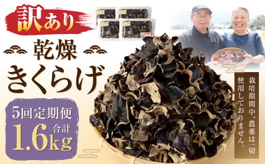 【訳あり】【5ヶ月定期便】 乾燥きくらげ 320g(80g×4パック)×5回 合計1,600g 熊本県 乾燥 きくらげ キクラゲ 木耳 きのこ キノコ 国産 人吉市産熊本県人吉市50000野菜・きのこきのこ